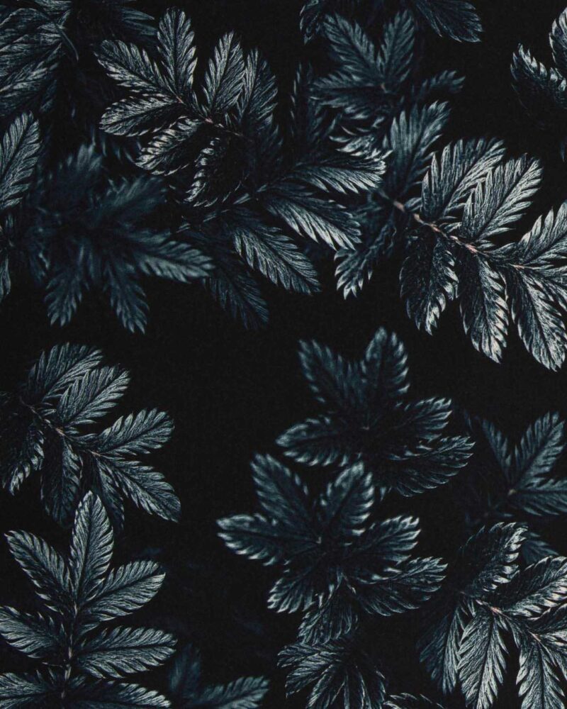 Allover Dark Leaves | Viskose | Blautöne – Bild 4