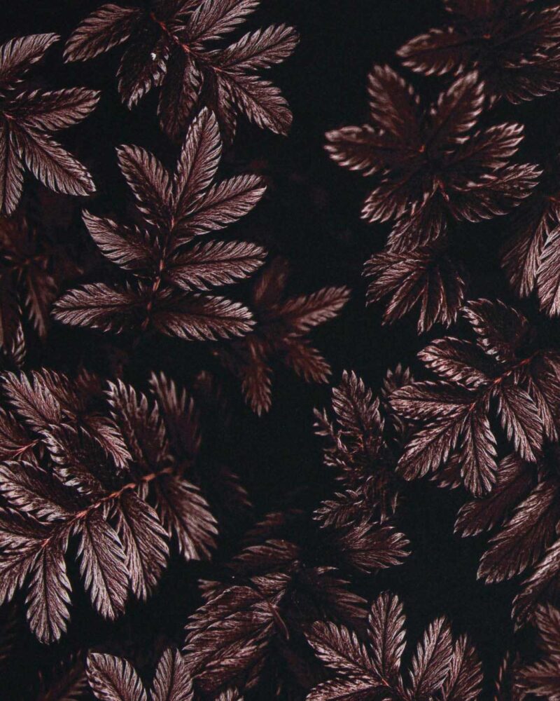 Allover Dark Leaves | Viskose | Rosé- & Rottöne – Bild 5