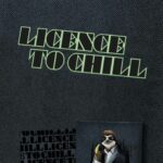 FREEBIE Licence To Chill Plotterdatei