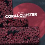 BAMPED Swafing Kollektion SEA YOU by Thorsten Berger