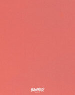 Jersey Baumwolle "Vanessa" | Lachs – Bild 3