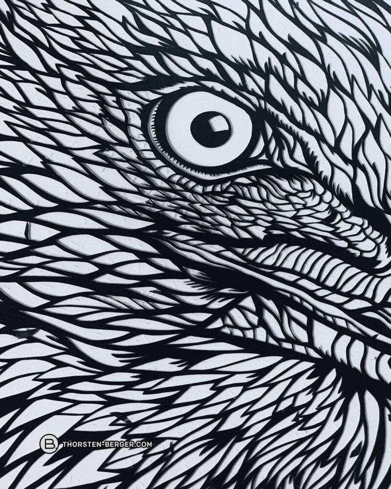 Plotterdatei "EAGLE EYE" | Größe DIN A4 – Bild 9