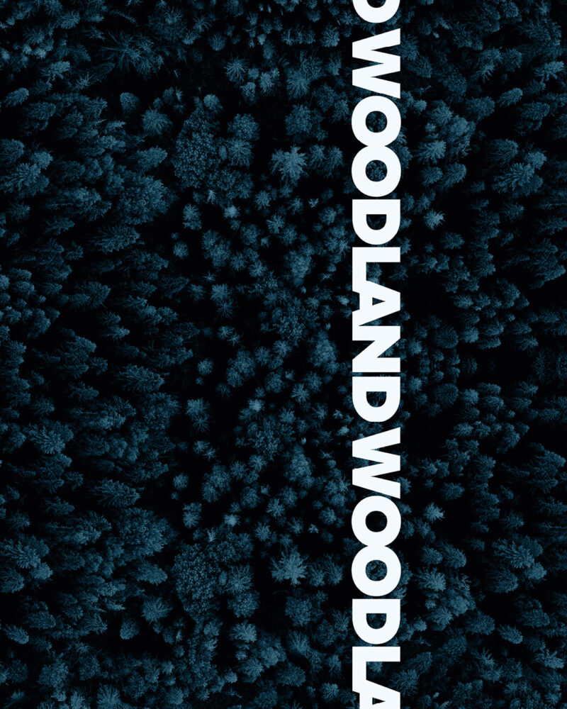 ALLOVER "WOODLAND" | French Terry | Forestblue – Bild 3