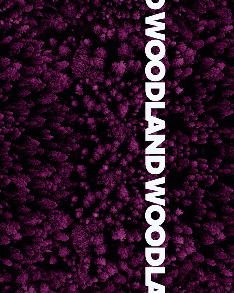 BAMPED_SWAFING_Woodland_Thorsten_Berger_jpg28 ALLOVER "WOODLAND" | French Terry | Fuchsia – Bild 2