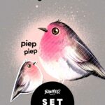 Digistamps + Digipaper "Rotkehlchen Robin"