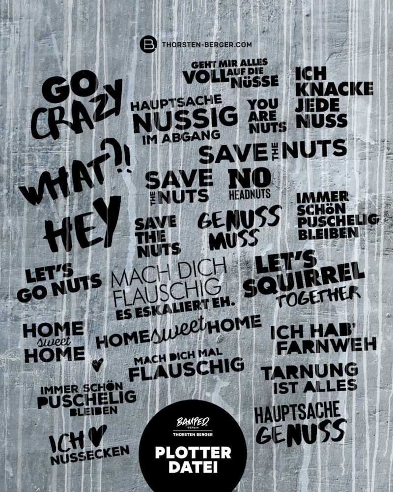 Plotterdatei "Eichhörnchen Flitzi" – Bild 5