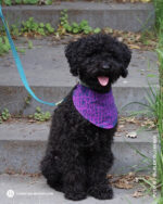 ALLOVER PAWERFUL "Poodle Pepper" | French Terry | Eclipse Lila – Bild 7