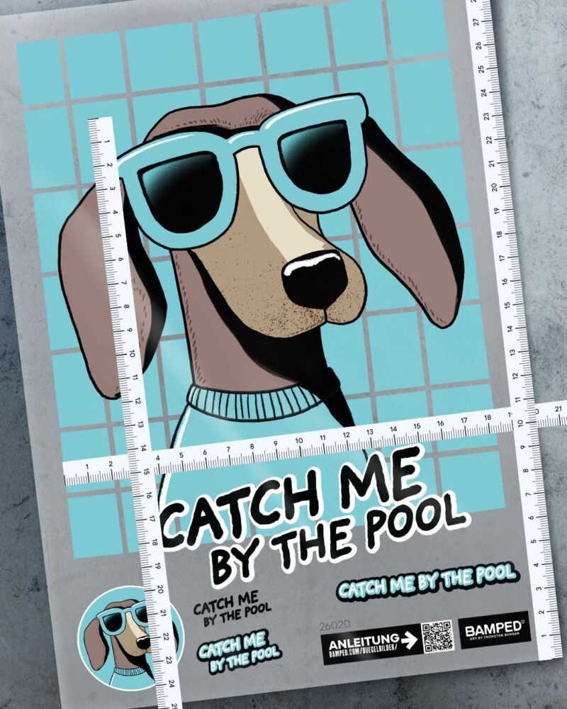 BÜGELBILD "DACKEL ALFIE" / POOL – Bild 3