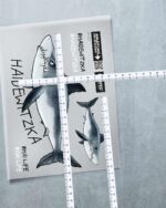 BÜGELBILD "HAIDEWITZKA" – Bild 3